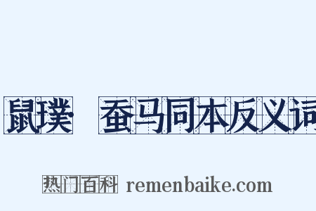 鼠璞·蚕马同本反义词是什么意思的图片